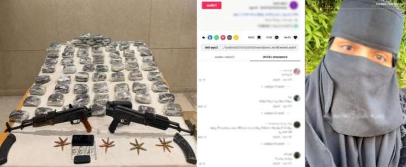 بوابة المصريين