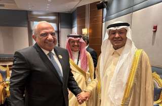 الربط الكهربائي المصري السعودي.. مشروع استراتيجي لتعزيز أمن الطاقة وتبادل 3000 ميجاوات بين البلدين| صور