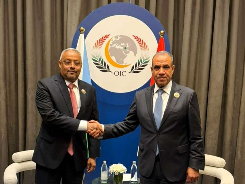بوابة المصريين