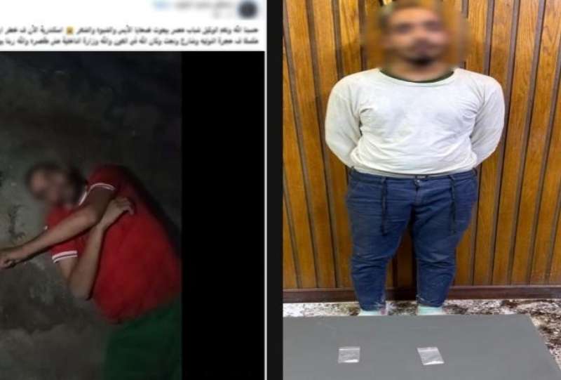 بوابة المصريين
