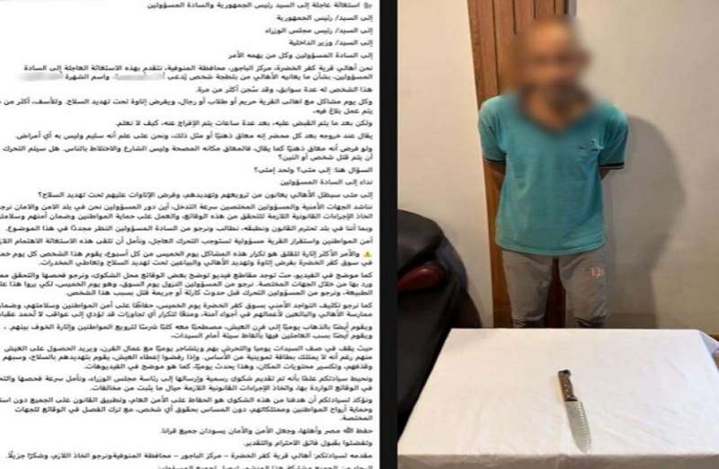 بوابة المصريين