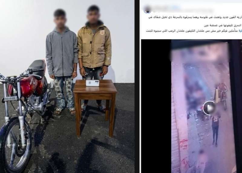 بوابة المصريين