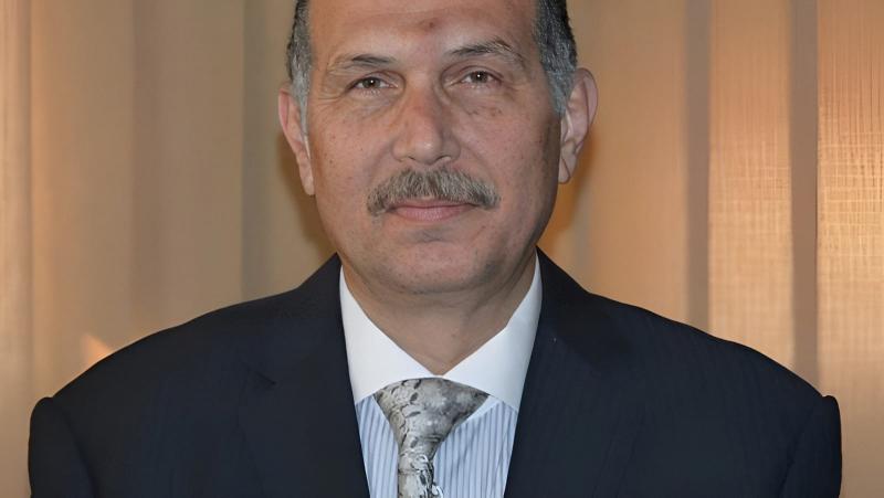 بوابة المصريين