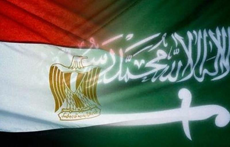 بوابة المصريين