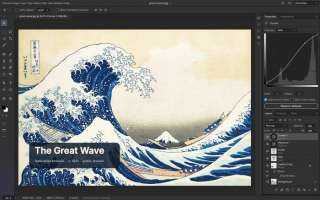 الذكاء الاصطناعي يفتح جبهة جديدة ضد Adobe.. مطور يبني 7 بدائل مجانية للبرامج الأشهر